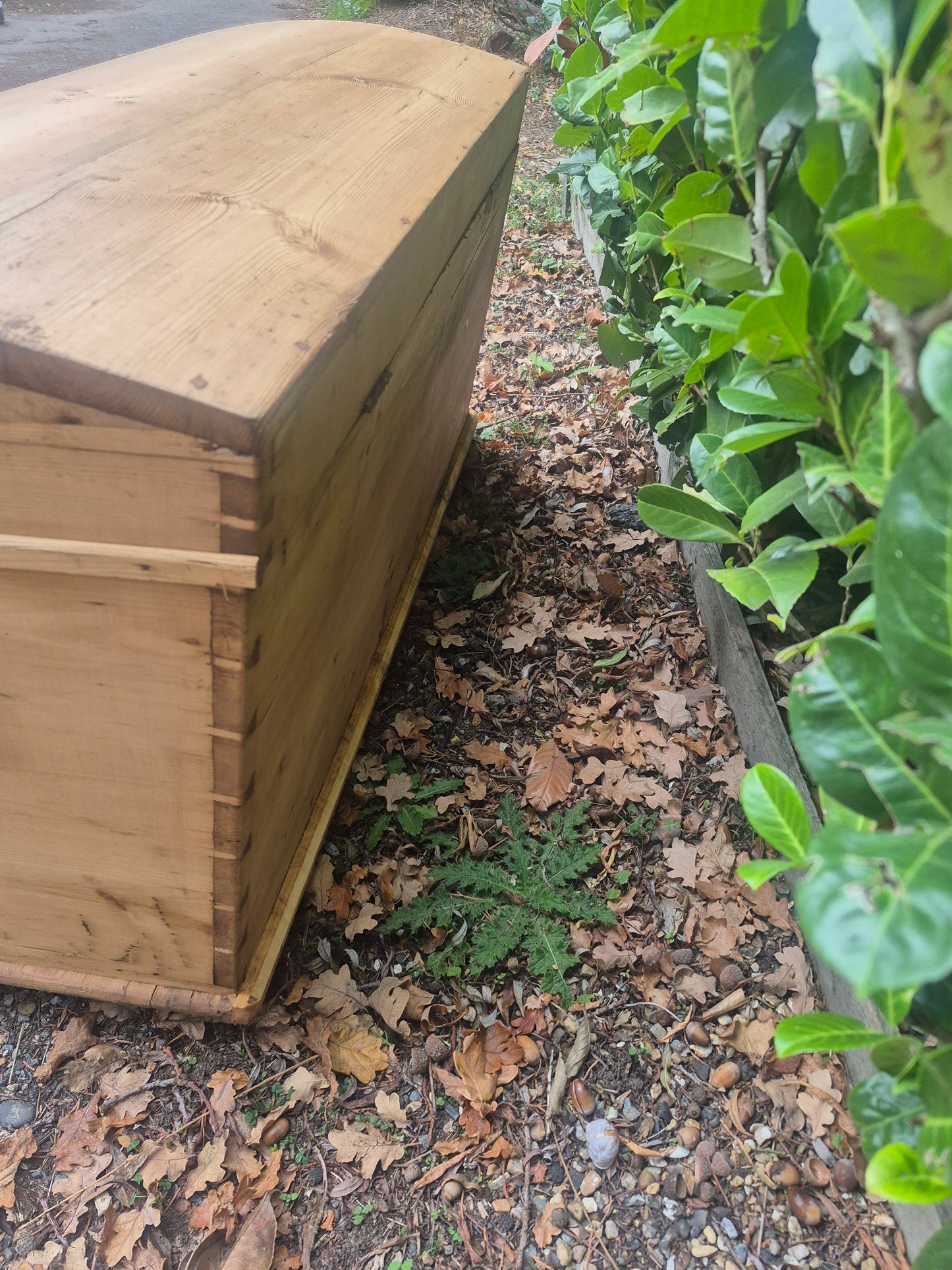 Antique Pine Blanket Box Toy Box Chest