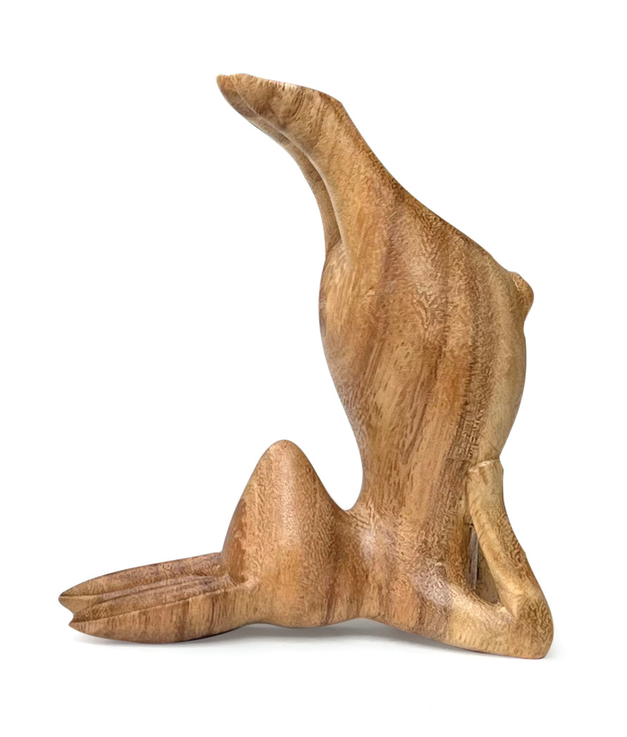 Yoga Bunnies, Downward Dog, Seated Forward Bend, Shoulder Stand