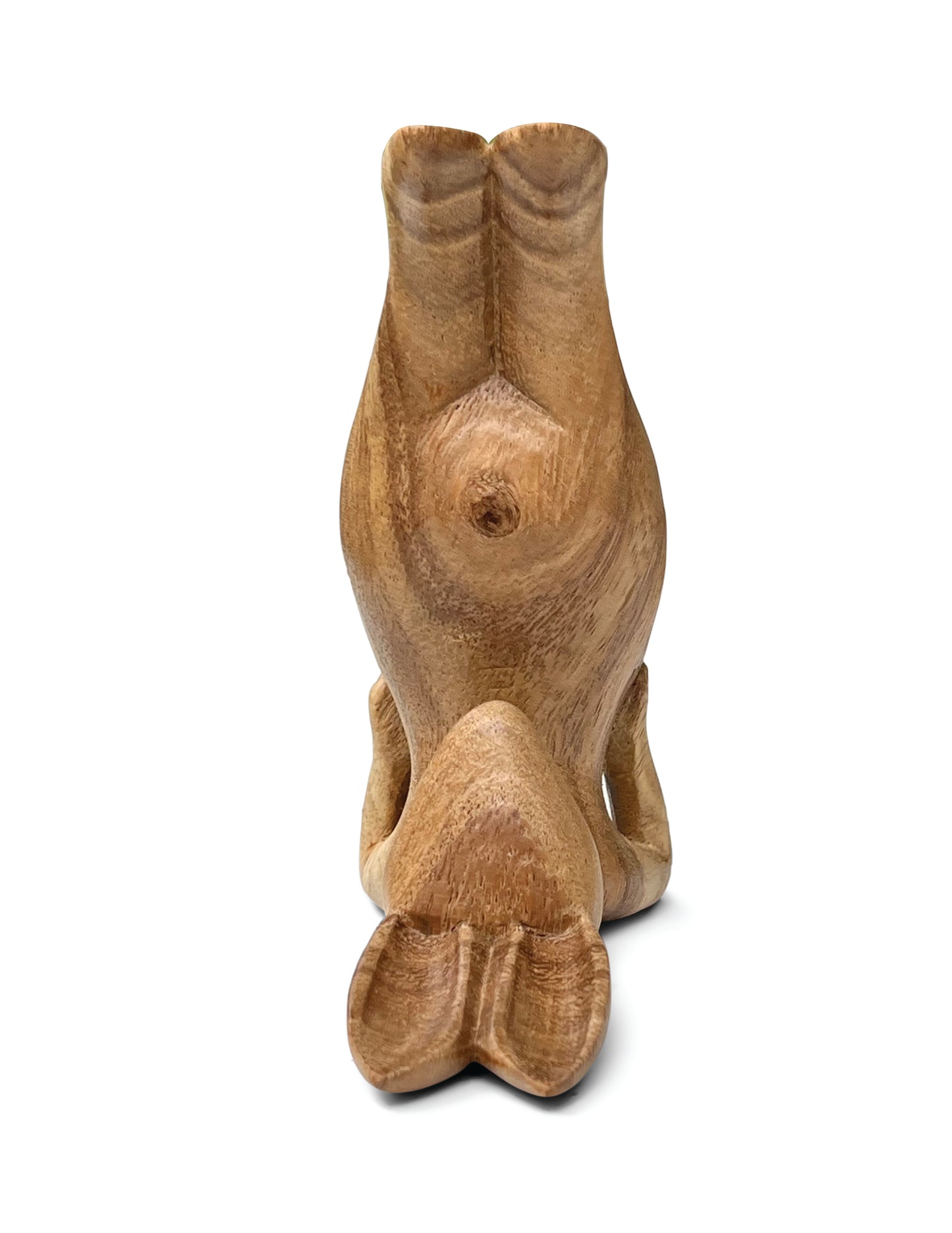 Yoga Bunnies, Downward Dog, Seated Forward Bend, Shoulder Stand