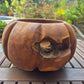 Teak Large deep pumpkin shaped wooden fruit bowl, salad bowl