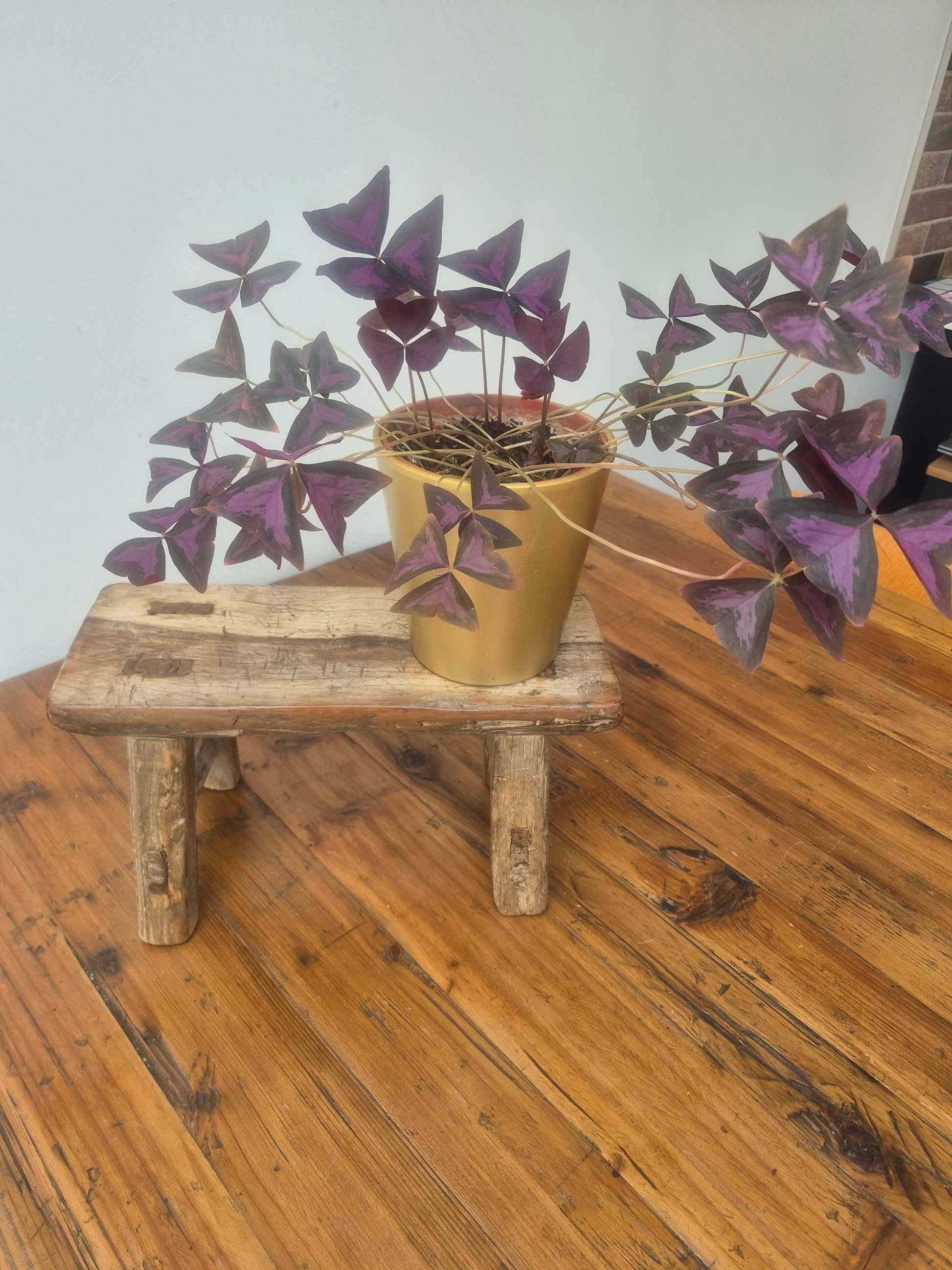 Small Rustic Foot Stool, Step, Side Table 