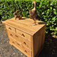 Antique Pitch Pine Chest of Drawers