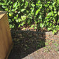 Antique Pitch Pine Chest of Drawers