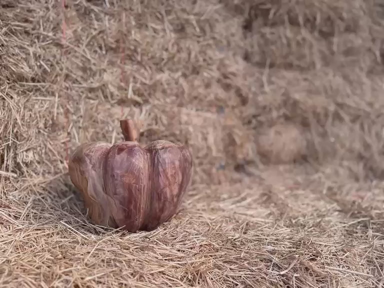 pumpkins