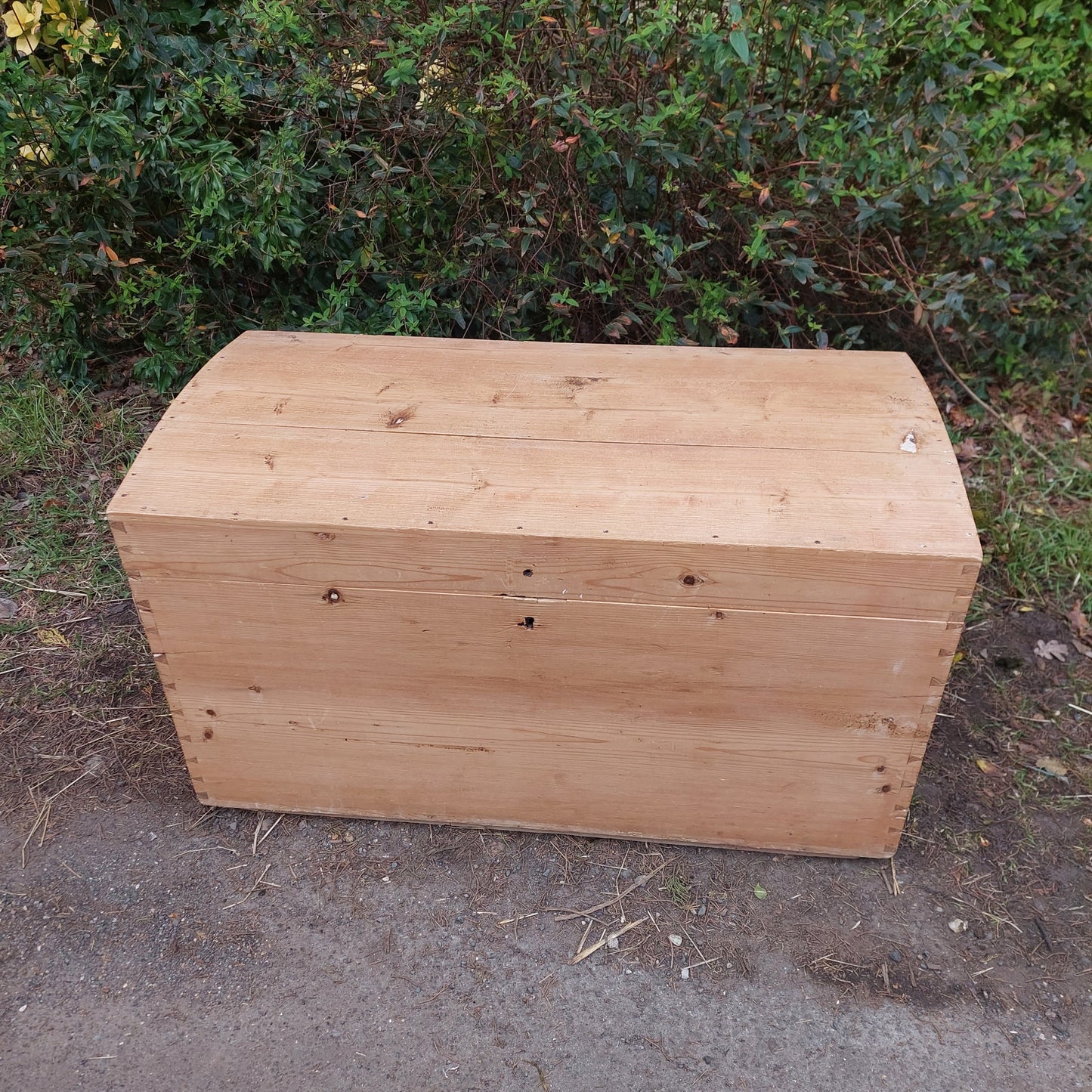 Antique Pine Blanket Box with Dome Top 19th Century