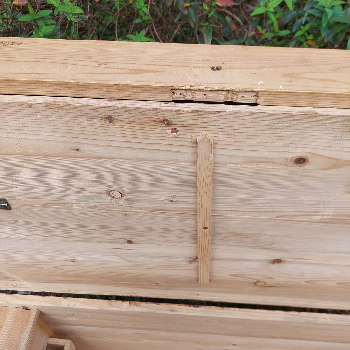 Antique Pine Blanket Box with Dome Top 19th Century